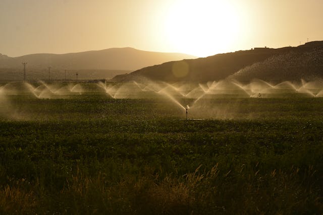 Révolutionner l'agriculture avec l'automatisation de l'irrigation